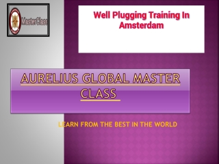 WELL PLUGGING TRAINING IN AMSTERDAM