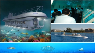 Experience the Thrill of Exploring the Sea on a Submarine Tour