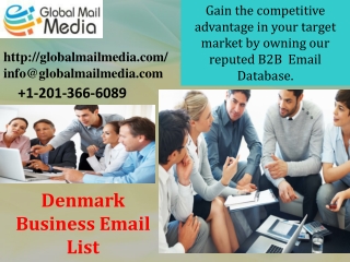 Denmark Business Email List