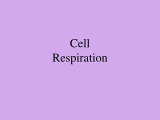 Cell Respiration