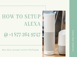 Setup Alexa and Alexa Dot Setup Tips and Tricks