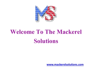 Best SEO Company And Digital Marketing Services | Mackerel Solutions