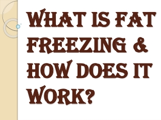 Why You Should Opt For Fat Freezing Training?