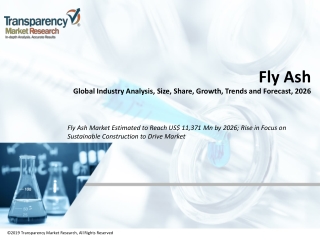Fly Ash Market Estimated to Experience a Hike in Growth by 2026