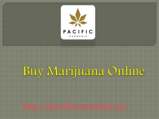 Buy Marijuana Online - pacificcannabi