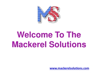 Best SEO Company And Digital Marketing Services | Mackerel Solutions