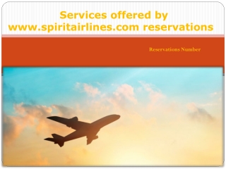 Services offered by www.spiritairlines reservations