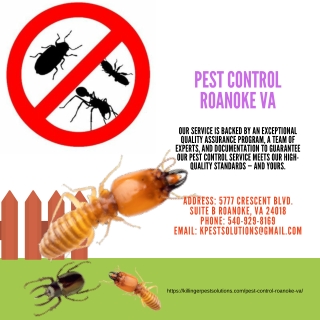 Pest Control Roanoke VA