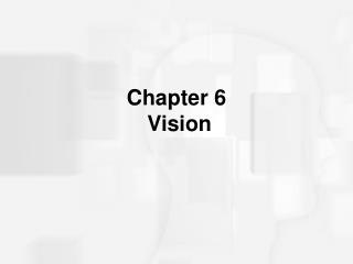 Chapter 6 Vision