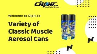 Variety of Classic Muscle Aerosol Cans in Canada