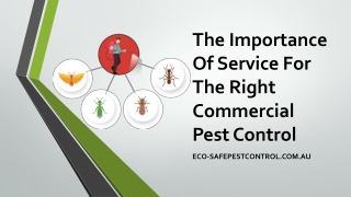 The importance of service for the right commercial pest control