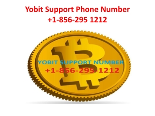 Yobit Customer Support Number 1-856-295-1212
