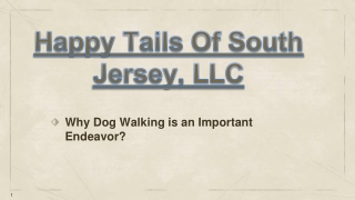 Why Dog Walking is an Important Endeavor