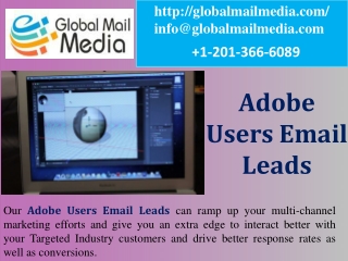 ADOBE SOFTWARE USERS EMAIL & MAILING LEADS