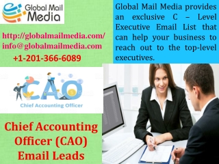Chief Accounting Officer (CAO) Email Leads