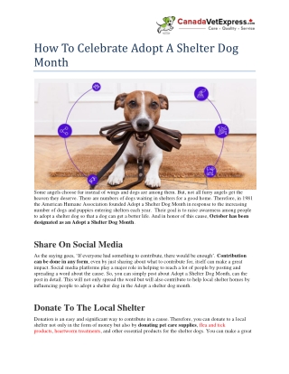 How To Celebrate Adopt A Shelter Dog Month