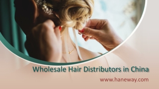 Wholesale Hair Distributors in China - www.haneway.com