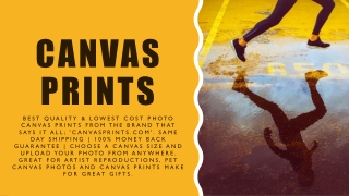 Best Canvas Prints