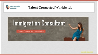 Immigration Consultants