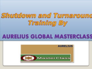 Shutdown and Turnaround Training