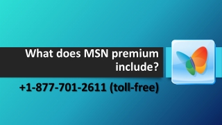 What does MSN Premium include?