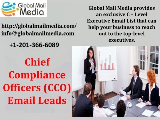 Chief Compliance Officers (CCO) Email Leads