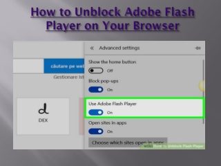 How to Unblock Adobe Flash Player on Your Browser