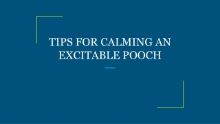 TIPS FOR CALMING AN EXCITABLE POOCH