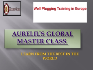 WELL PLUGGING TRAINING in Europe.