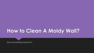 Mold Removal Services Charlotte NC