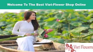 Viet Flowers For Sending Best Flowers To Your Loved Once