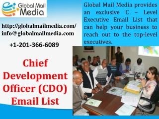 CHIEF DEVELOPMENT OFFICERS EMAIL & MAILING LIST