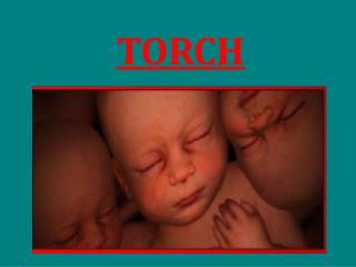 TORCH