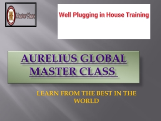 WELL PLUGGING IN HOUSE TRAINING