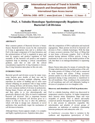 FtsZ, A Tubulin Homologue Spatiotemporally Regulates the Bacterial Cell Division