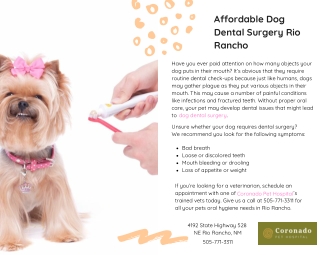 Affordable Dog Dental Surgery Rio Rancho