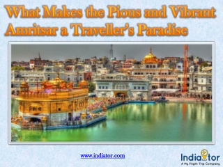 What Makes the Pious and Vibrant Amritsar a Traveller’s Paradise