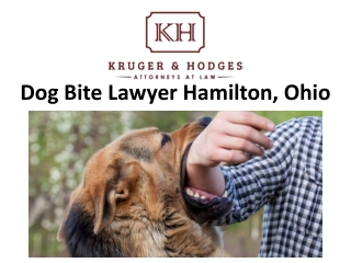 Dog Bite Lawyer Hamilton, Ohio