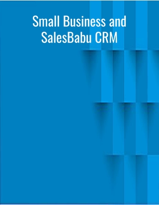 Small Business and SalesBabu CRM