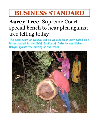 Aarey Tree- Supreme Court Special Bench to Hear Plea Against Tree Felling Today