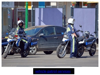 Vehicle Patrol Services