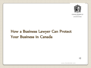 How a Business Lawyer Can Protect Your Business in Canada