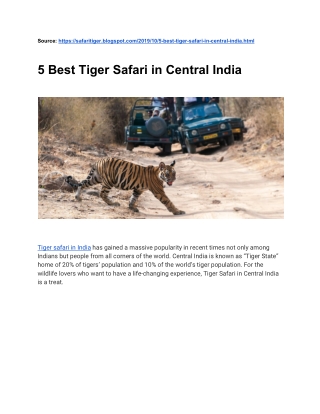 5 Best Tiger Safari in Central India