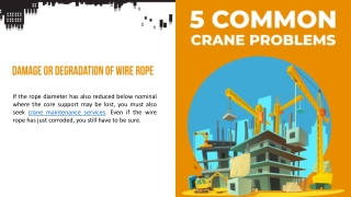 5 Common Crane Problems