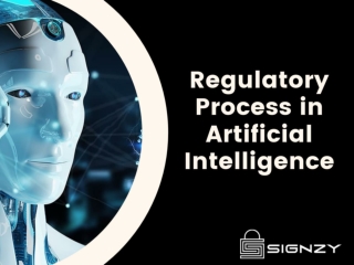 Regulatory Process in Artificial Intelligence