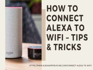 Get Solution to Fix Alexa Won’t Connect to WiFi