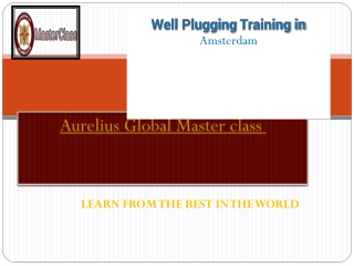 WELL PLUGGING TRAINING IN Amsterdam