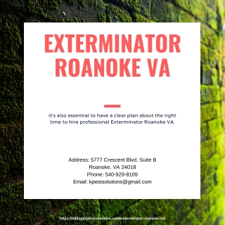 Exterminator Roanoke VA