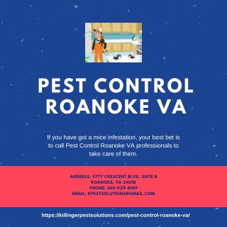 Pest Control Roanoke VA