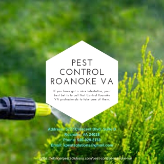 Pest Control Roanoke VA